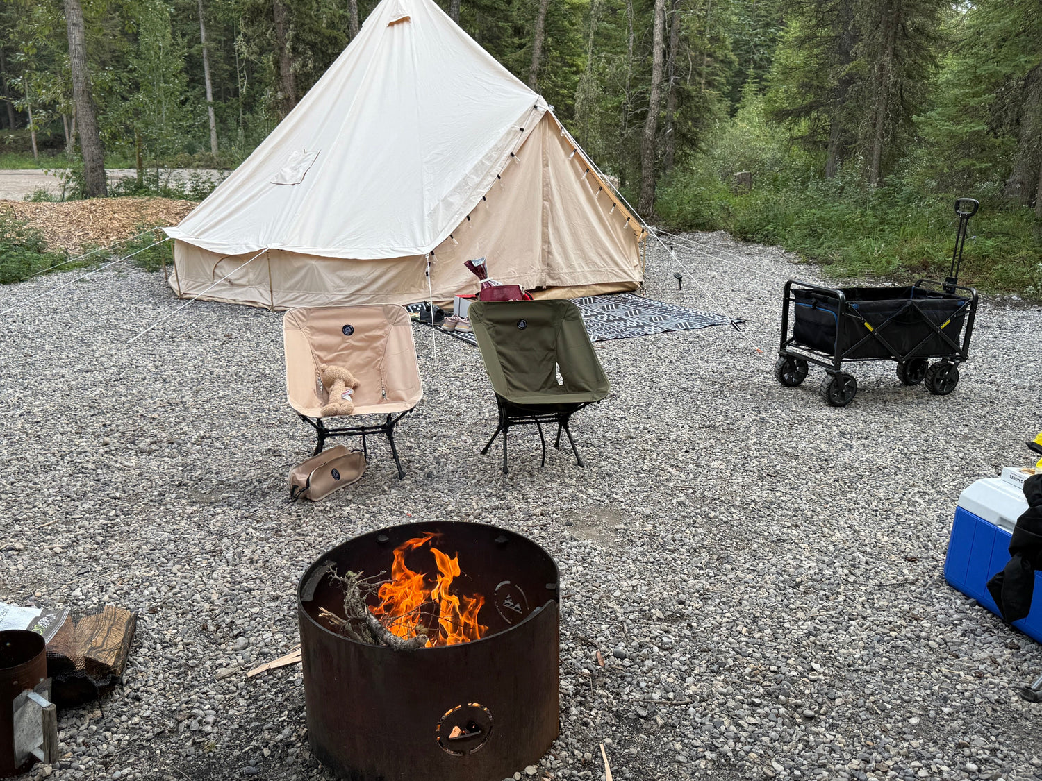 Durable Outdoor Chairs for All Weather