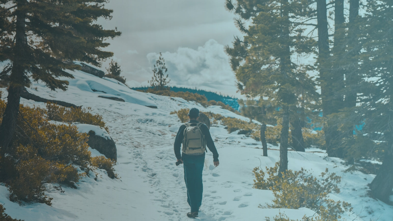 Walking the Great Outdoors is the Best Exercise