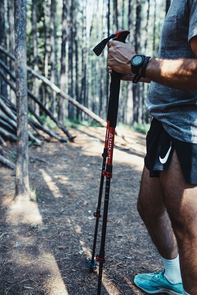 Trekking Poles