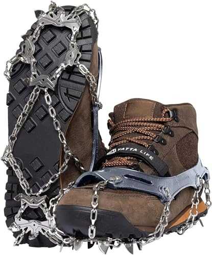 Microspikes for shoe spikes